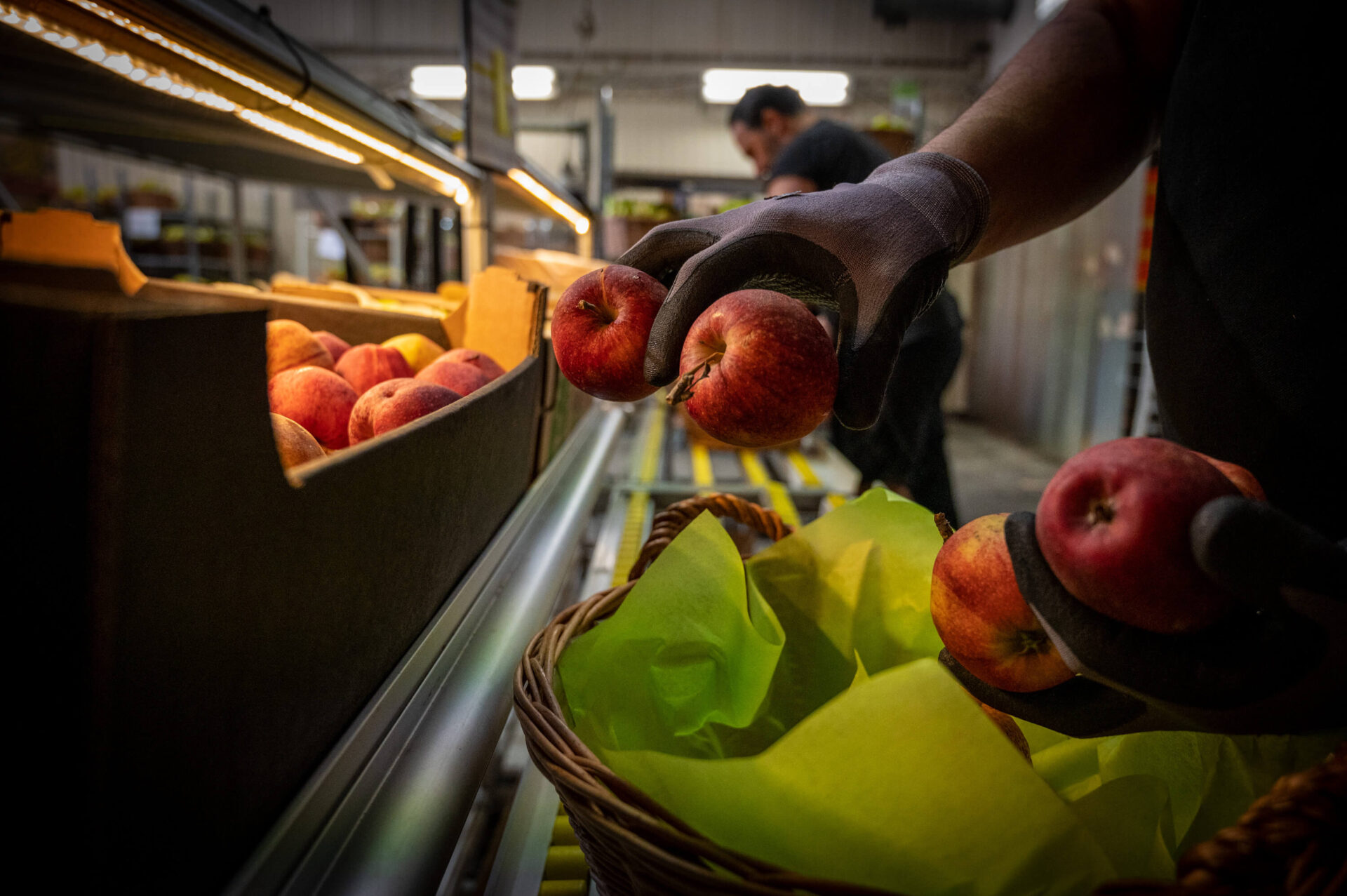 Fruktkorg till jobbet